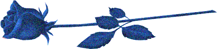 bluerosesorel.gif